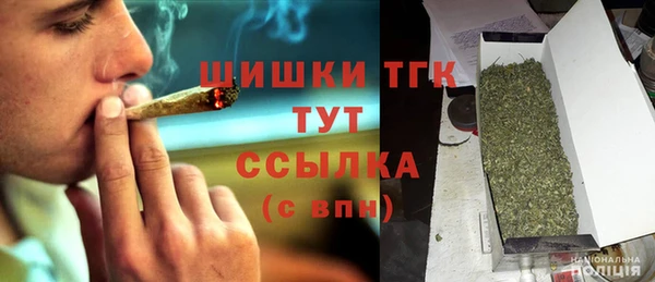 сатива Белокуриха