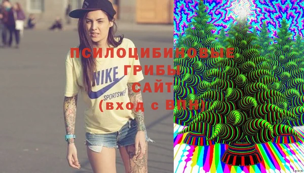 сатива Белокуриха