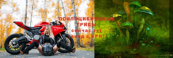 дживик Беломорск