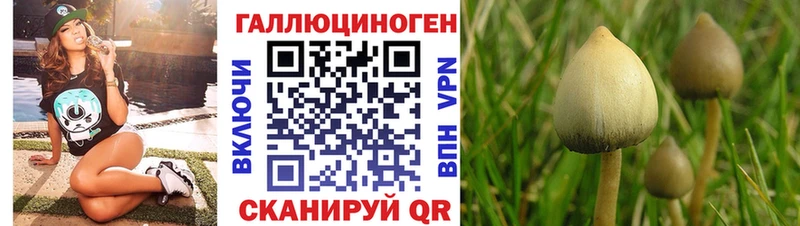 Галлюциногенные грибы мухоморы  закладки  Семикаракорск 